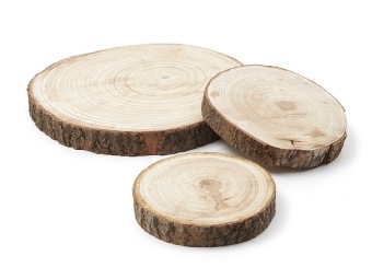 Paulownia Schijf 30 cm PREMIUM