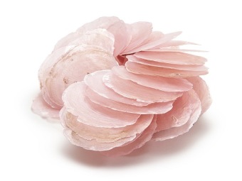 Capiz Dia Roze 5-10 cm 250 gr.