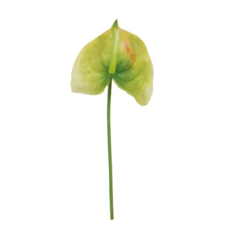 Kunstbloem Anthurium Groen