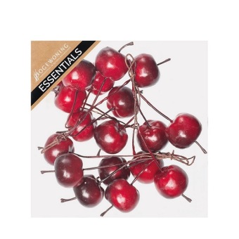 Appeltjes Donker Rood 4 x 5 st.