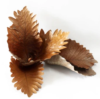 Caban Bladeren Naturel 5 st.