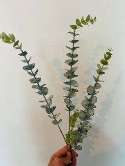 Kunstbloem Eucalyptus Fijn Groen