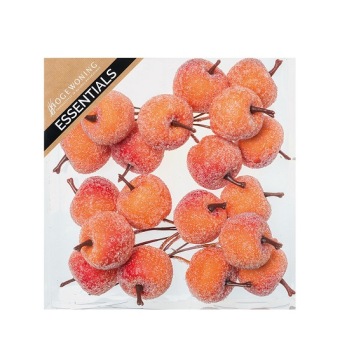 Appeltjes Gesuikerd Oranje 4 x 5 st.