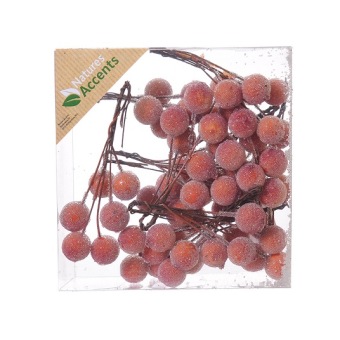 Bessen Gesuikerd Oranje 11 x 6 st. 16 mm