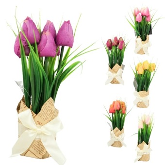 Tulpen In Cadeauverpakking Paars
