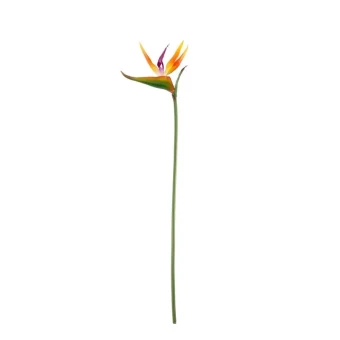 Kunstbloem Strelitzia