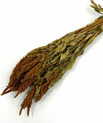 Amaranthus-oranje-droogbloemen-bloemschikken