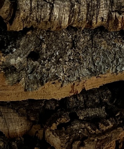 Kurk Plaat 30x25 cm 5 st. natuurlijk cork kurkschors