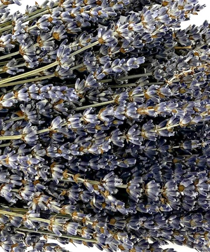 gedroogde Lavendel 100 gr. 40-45 cm bloemschikken