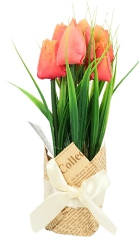 Tulpen In Cadeauverpakking Oranje