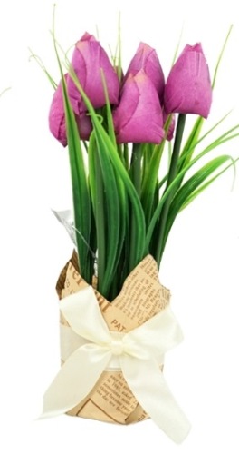 Tulpen In Cadeauverpakking Paars