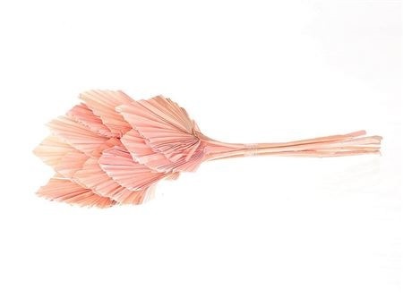 Palmspeer pastel roze 10 stuks