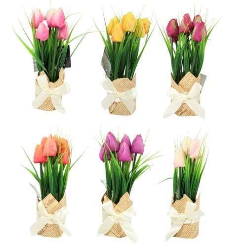 Tulpen In Cadeauverpakking Wit