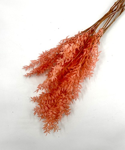 Ruscus licht roze 10 takken 200gram
